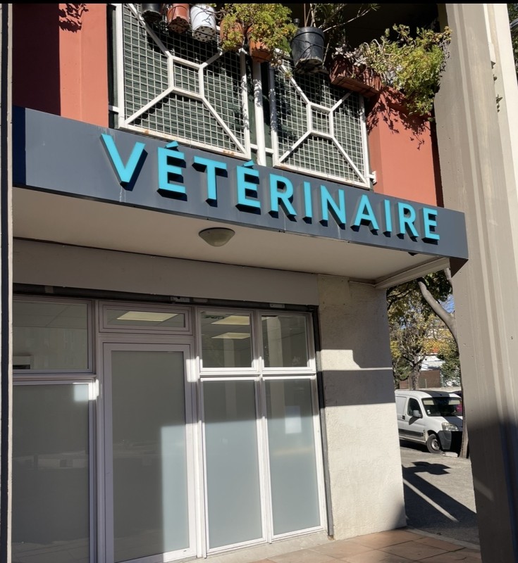 Rénovation et remplacement d’adhésifs sur lettres lumineuses d’une enseigne lumineuse à Marseille